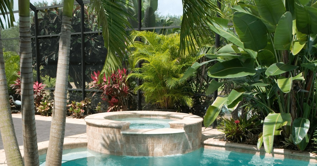 Adding tropical plants to your pool deck is a great way to add privacy all while bringing in a natural element and making the space feel more intimate.