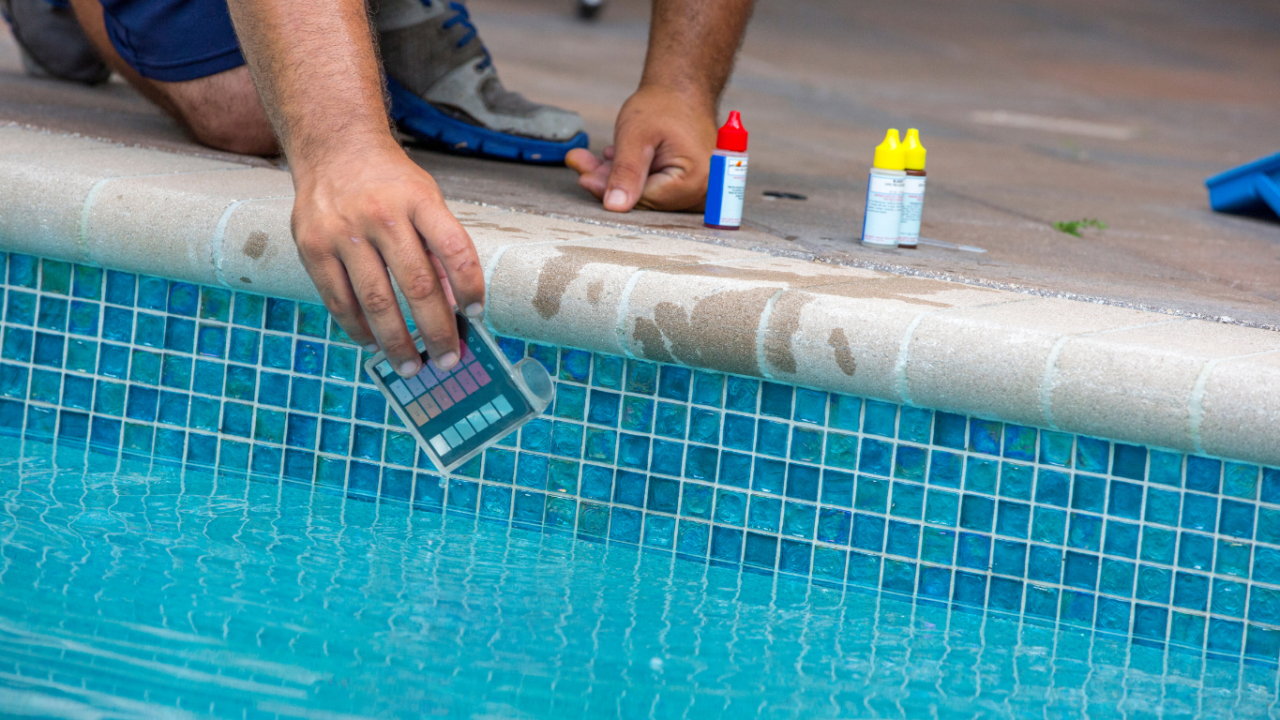 The Ultimate Guide to Pool Cages