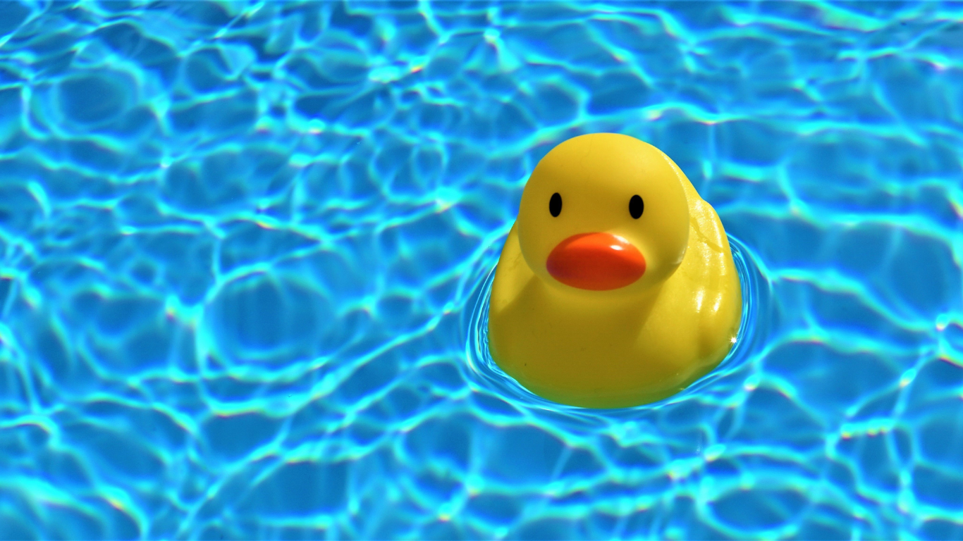 A yellow rubber ducky floats in a beautiful in-ground pool.