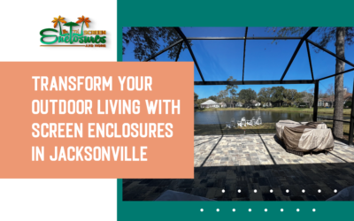 Transform Your Outdoor Living with Screen Enclosures in Jacksonville